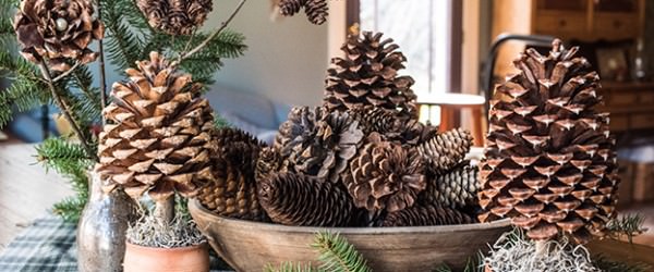 3 Holiday Decorations Using Pinecones