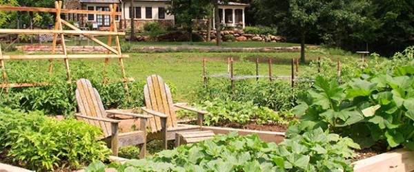 4 Tips For Selling Your Home And Garden