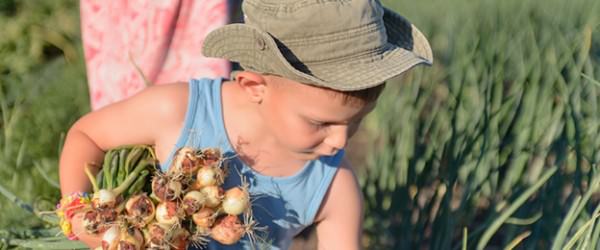 Video Explores Youth’s Impact On Future Of Farming