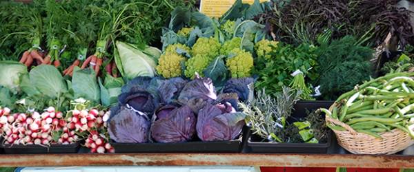 CSA Management Software 101