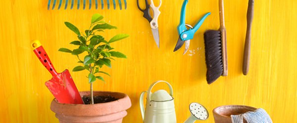 Holiday Gift Ideas For Gardeners