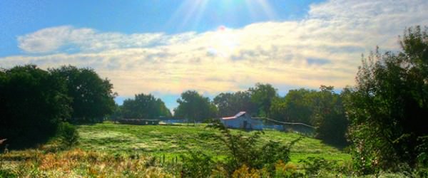 Burning Question: What Farming Will Look Like In 2050?