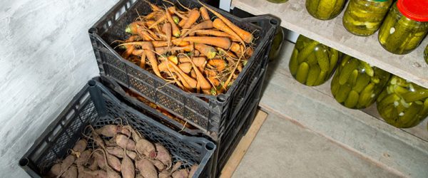 How to Build a Basement Root Cellar