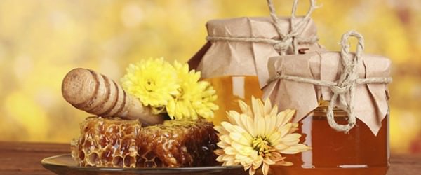 Did You Know Honey Is Actually Bee Vomit?