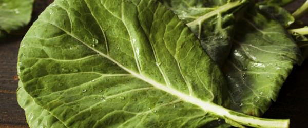 Growing and Cooking Collards