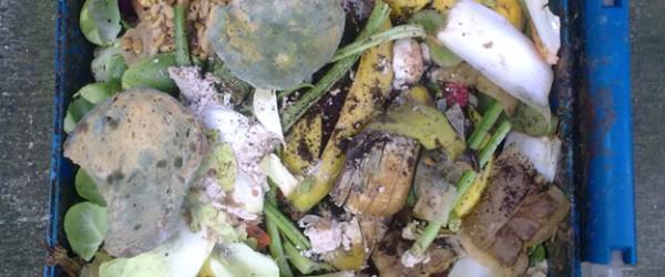 8 Things to Never Put In Your Home Compost Pile