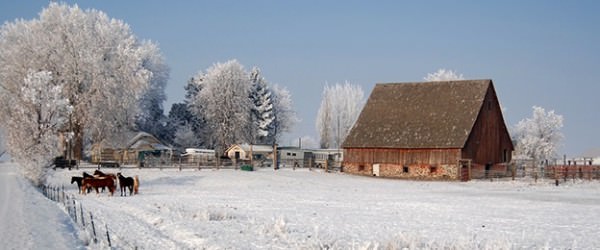 15 Winter Survival Tips For The Farm