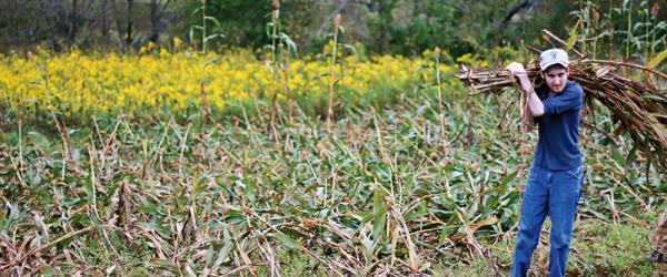 The Tradition Of Making Sorghum
