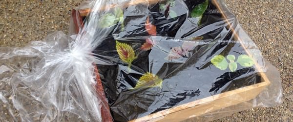 How To Make A Propagation Box