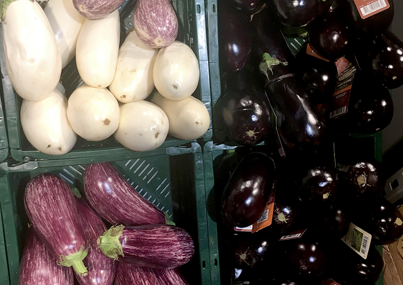 eggplant varieties