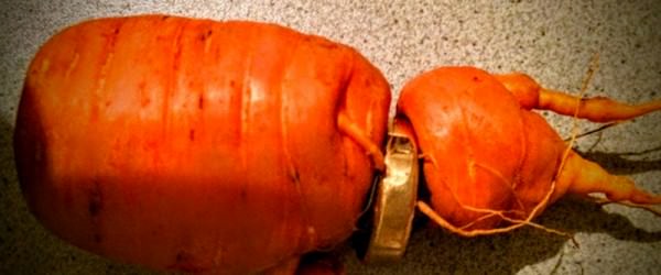 Man’s Lost Wedding Ring Turns Up On A Carrot