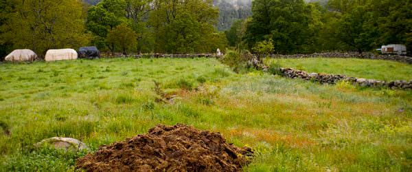 4 Manure Management Options for Your Farm