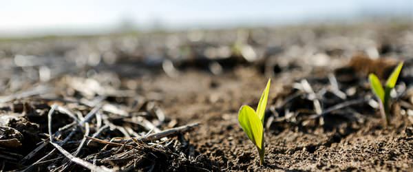 Rehab Your Land … Starting With A Soil Test