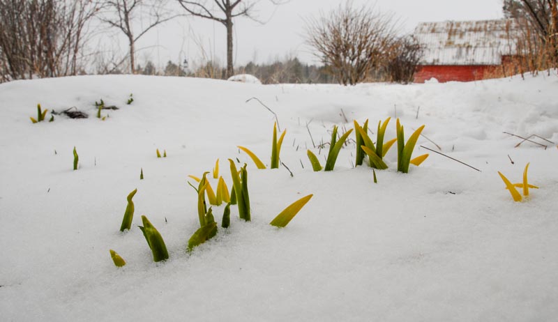 5 Tools You Need For The Spring Thaw