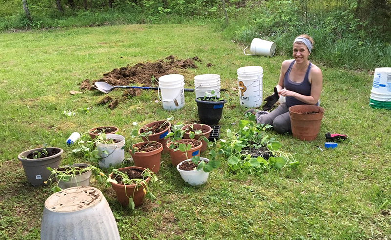 planting cucurbits