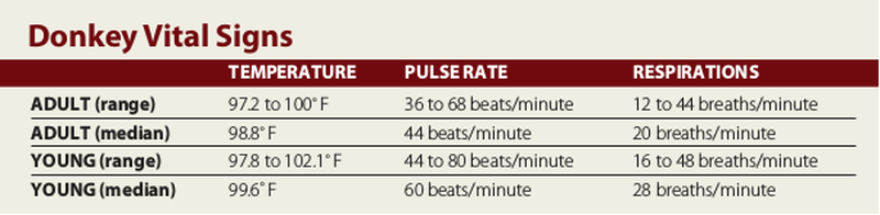 donkey health