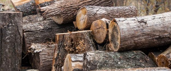 The Various Uses for Wood From the Trees on Your Farm