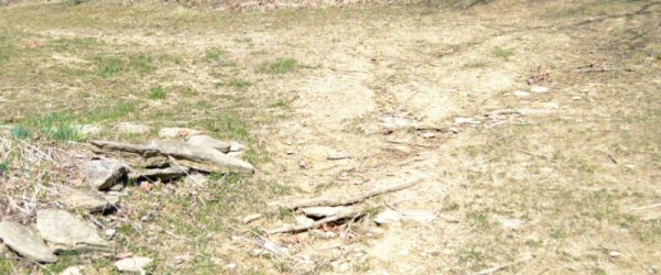 Erosion Control: The Challenge of Living on a Hill