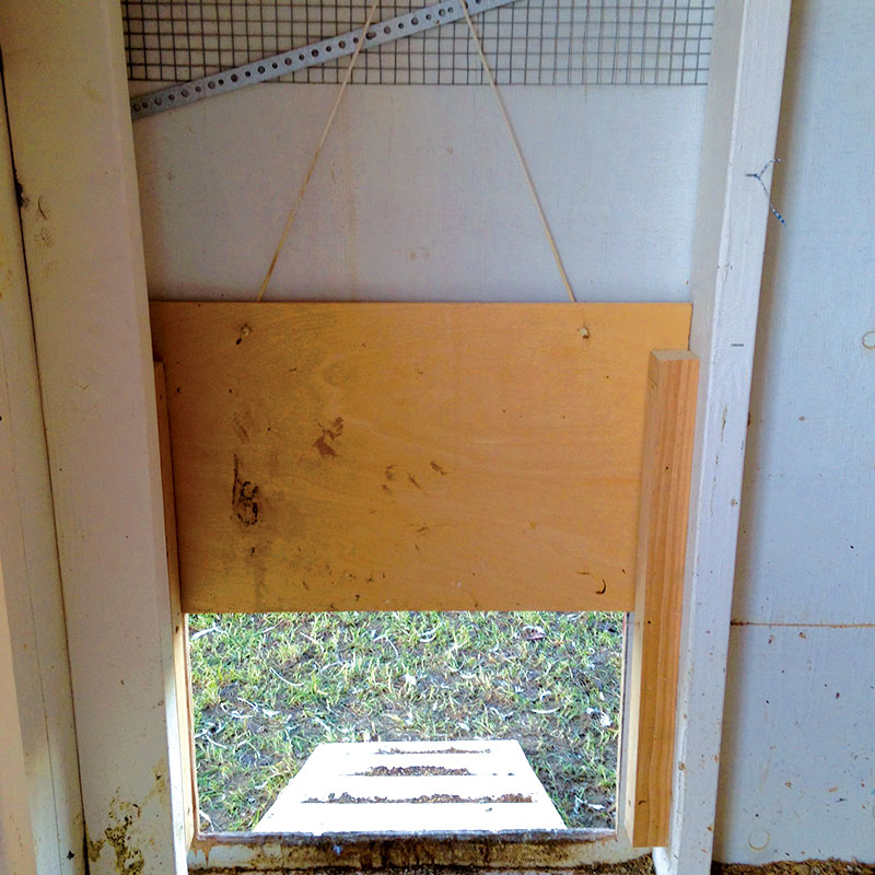 chicken coop door