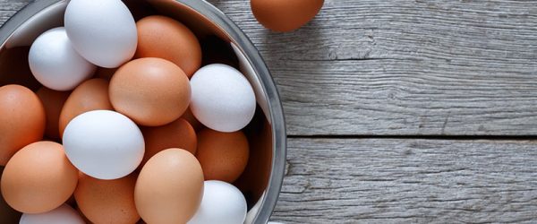Top Chicken Egg Questions & Answers