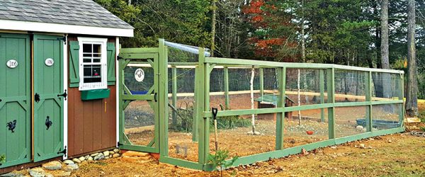 Run Defense: Build Your Chicken Run to Keep Out Predators