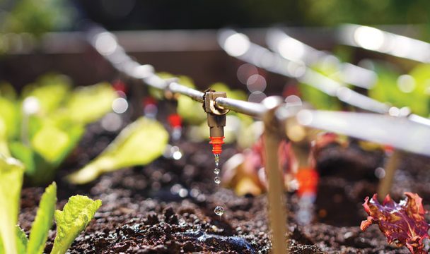 Picture of Gardening Off the Grid: Mastering Water and Solar Systems - Hobby Farms