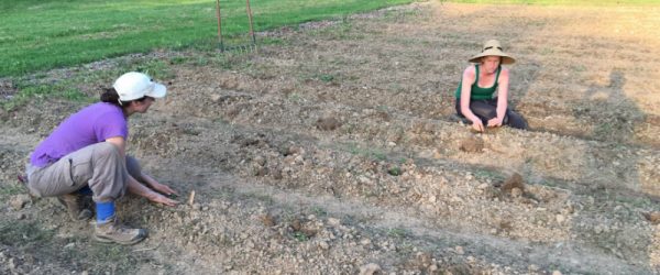 Oom Sha La La: I Want to Start a Garden—and I Finally Did!