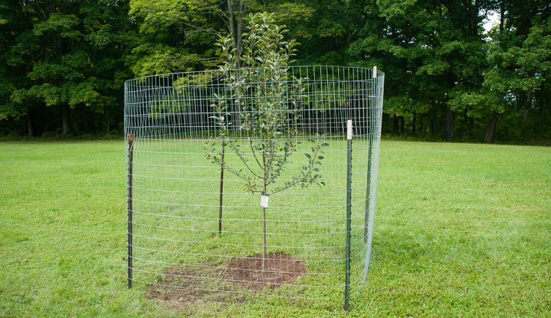 Pinnon Hatch Farms Deer Fence – 7.5ft X 330ft UV Mesh Netting – Heavy-Duty Deer Block