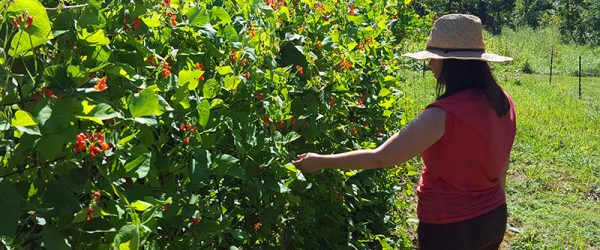Showing Gratitude For A Farm Life That’s Not TV-Show Perfect