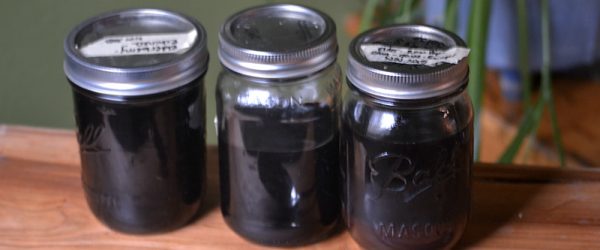 A Spoonful of Elderberry Syrup Kicks the Winter Off Right