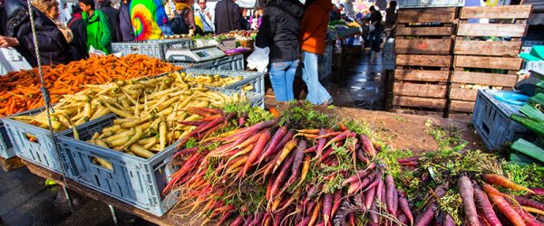 4 Things to Do Before You Start a Farm