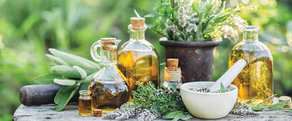 Holistic Health Care for Chickens: An Introduction