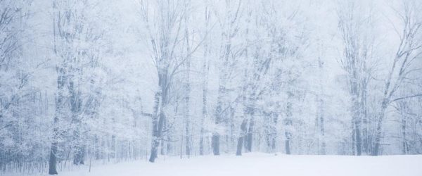 Farm Machines Help Us, But in Heavy Winter Snow, We Help Them