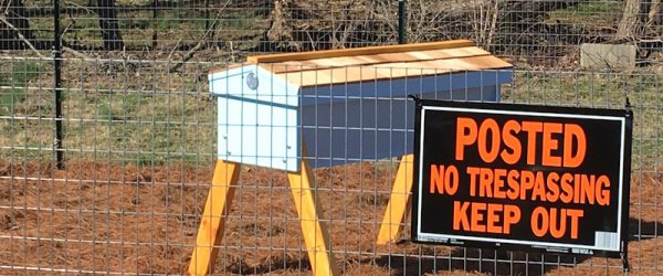 Beekeeping Basics: How to Establish a New Apiary