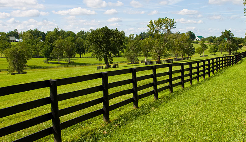 Choose The Right Fencing For Various Livestock Types Hobby Farms