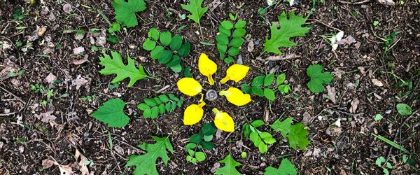 Practice Mindfulness With a DIY Nature Mandala