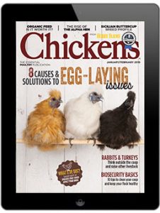 Chickens-January/February 2019 Digital