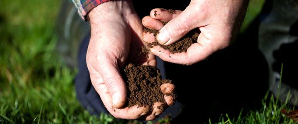 Choose the Right Soil Test for Your Farm