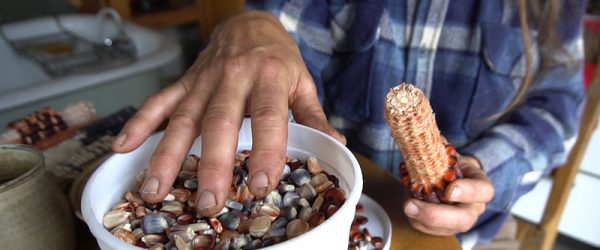 The Wisdom of Women Farmers, Part 2: Thoughts on Money