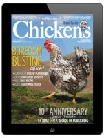 Chickens-November/December 2019 Digital