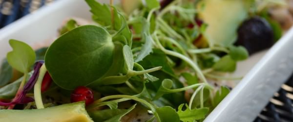 7 Ways to Sell Your Produce to Local Restaurants