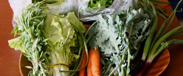 How This Farm Used Kiva Zip To Expand Their Business