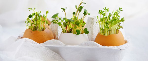 Something New You Can Do With Eggs This Easter