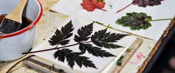 3 Ways To Make Prints With Leaves