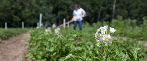 When You Start A Farm, You Start A Business