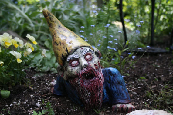 zombie gnome