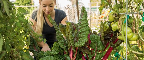 Community Gardening: Food + Framily