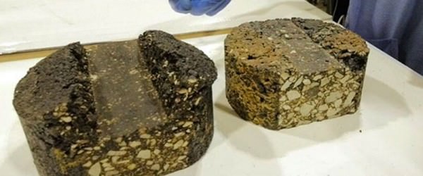 That’s One Place We Never Expected To Find Pig Poo!