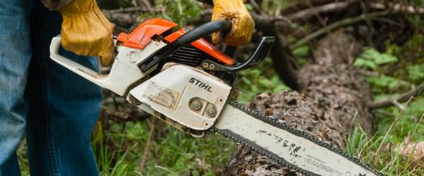 What To Look For When Buying A Chainsaw